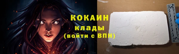 гидра Лагань