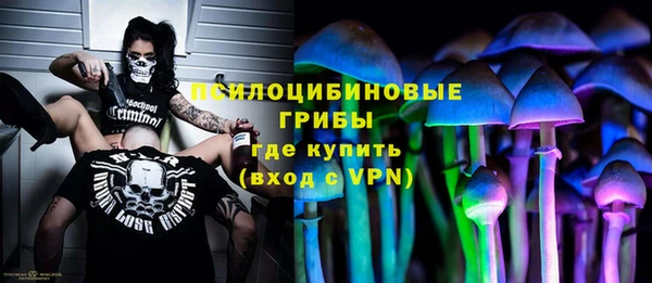 гидра Лагань