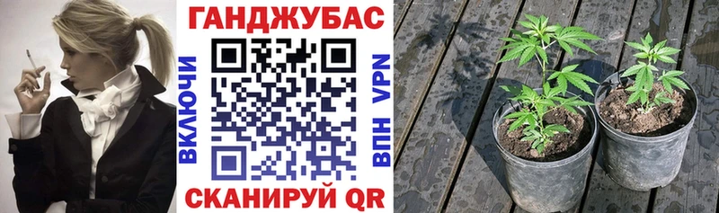 Канабис гибрид  Правдинск 